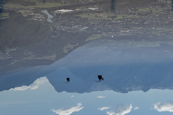 Type rating for Guimbal Cabri G2